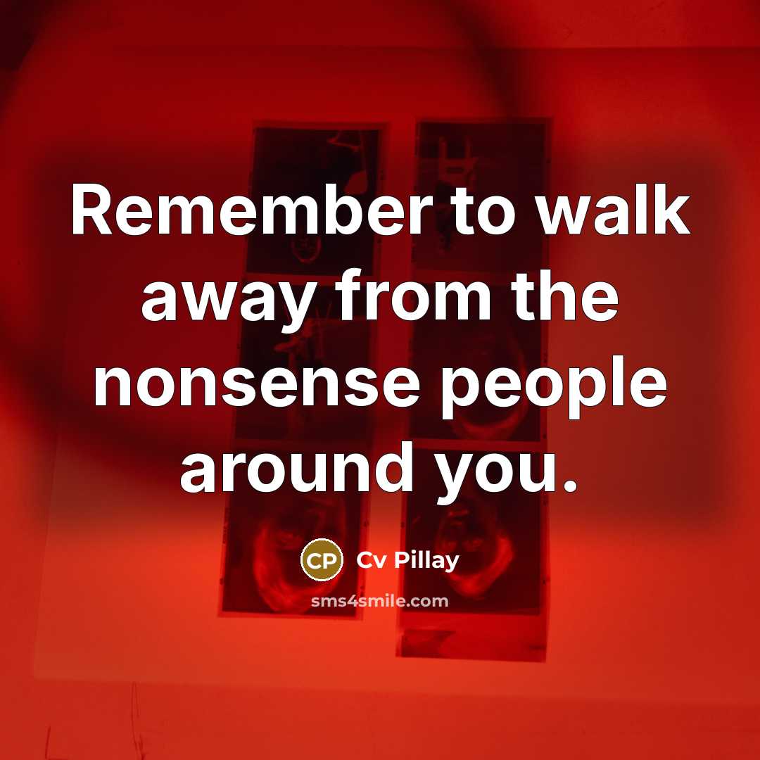 “Remember to walk away from the nonsense people around you.…” quote by Cv Pillay