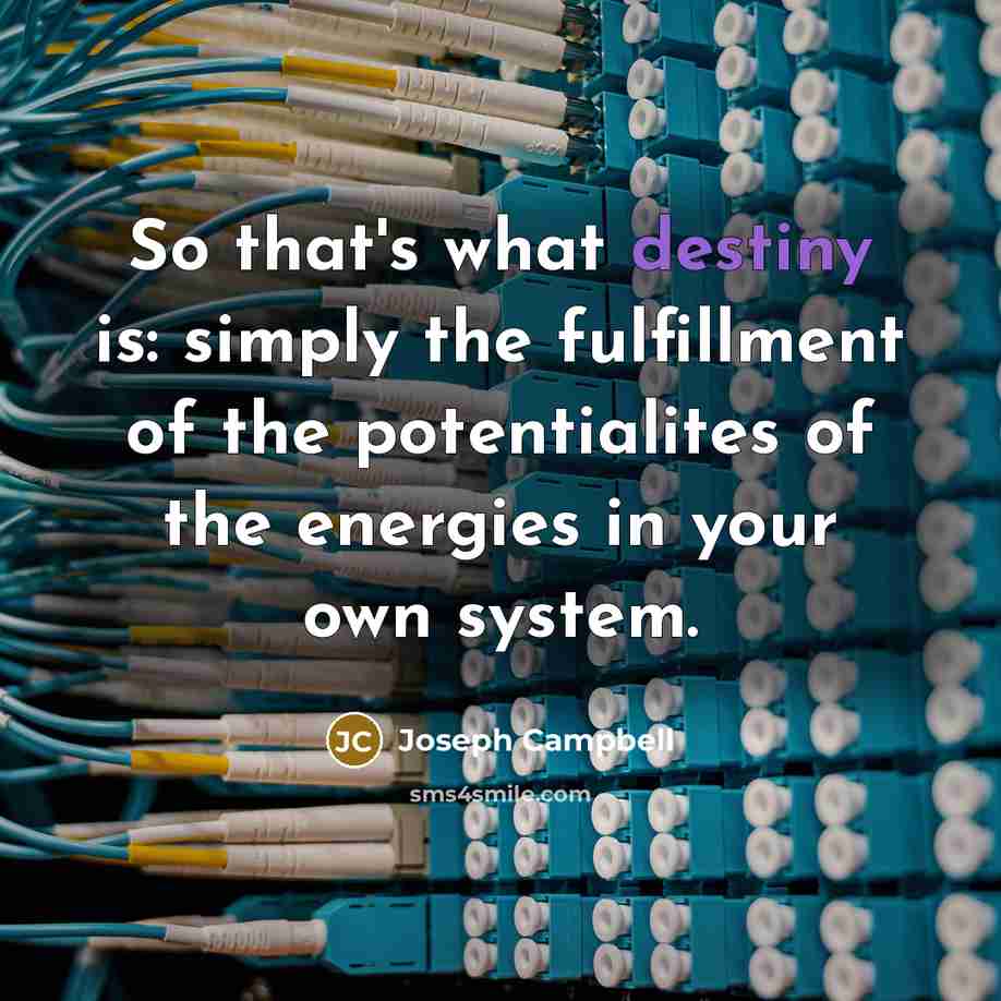 “So that's what destiny is: simply the fulfillment of the…” quote by Joseph Campbell