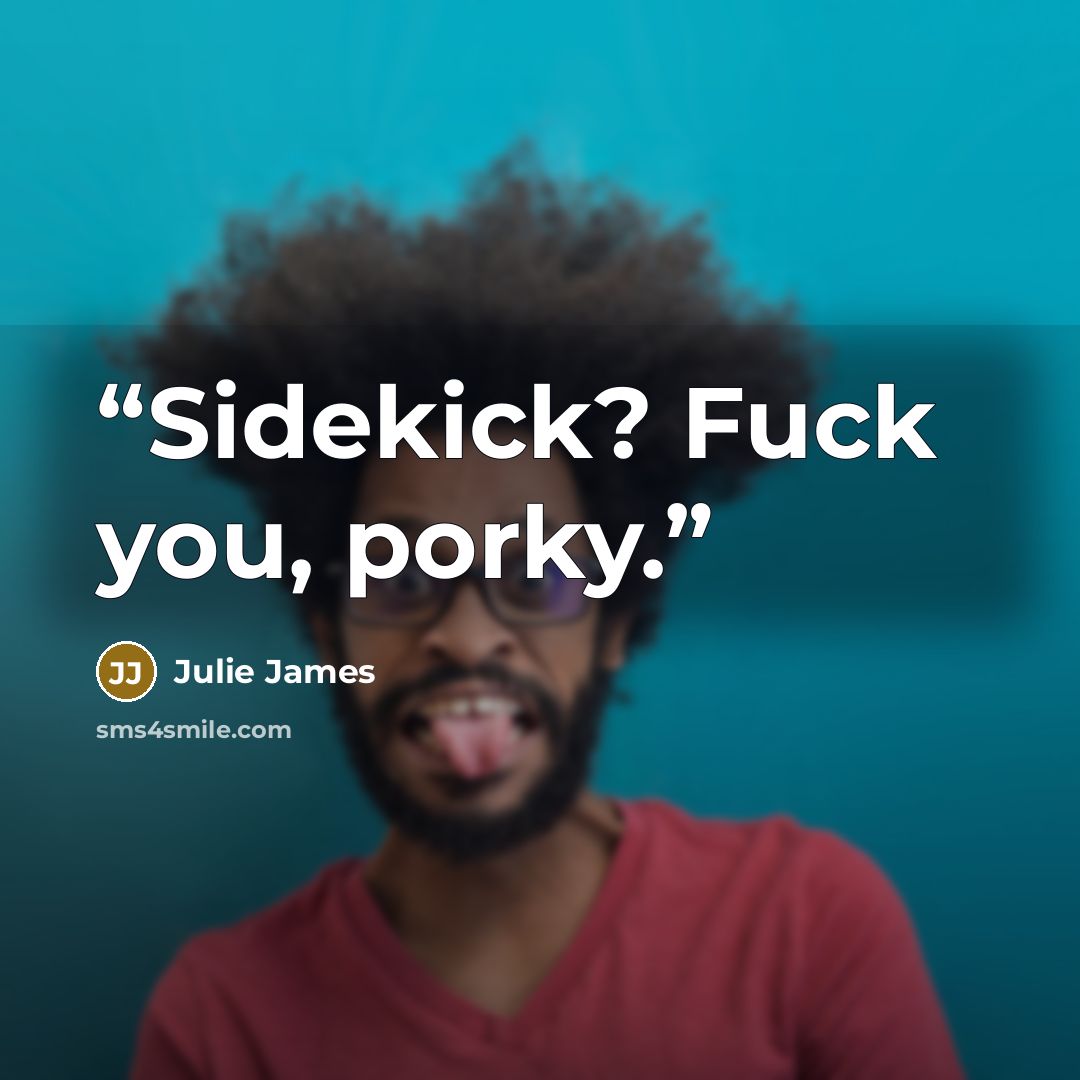 “Sidekick? Fuck you, porky.” quote by Julie James