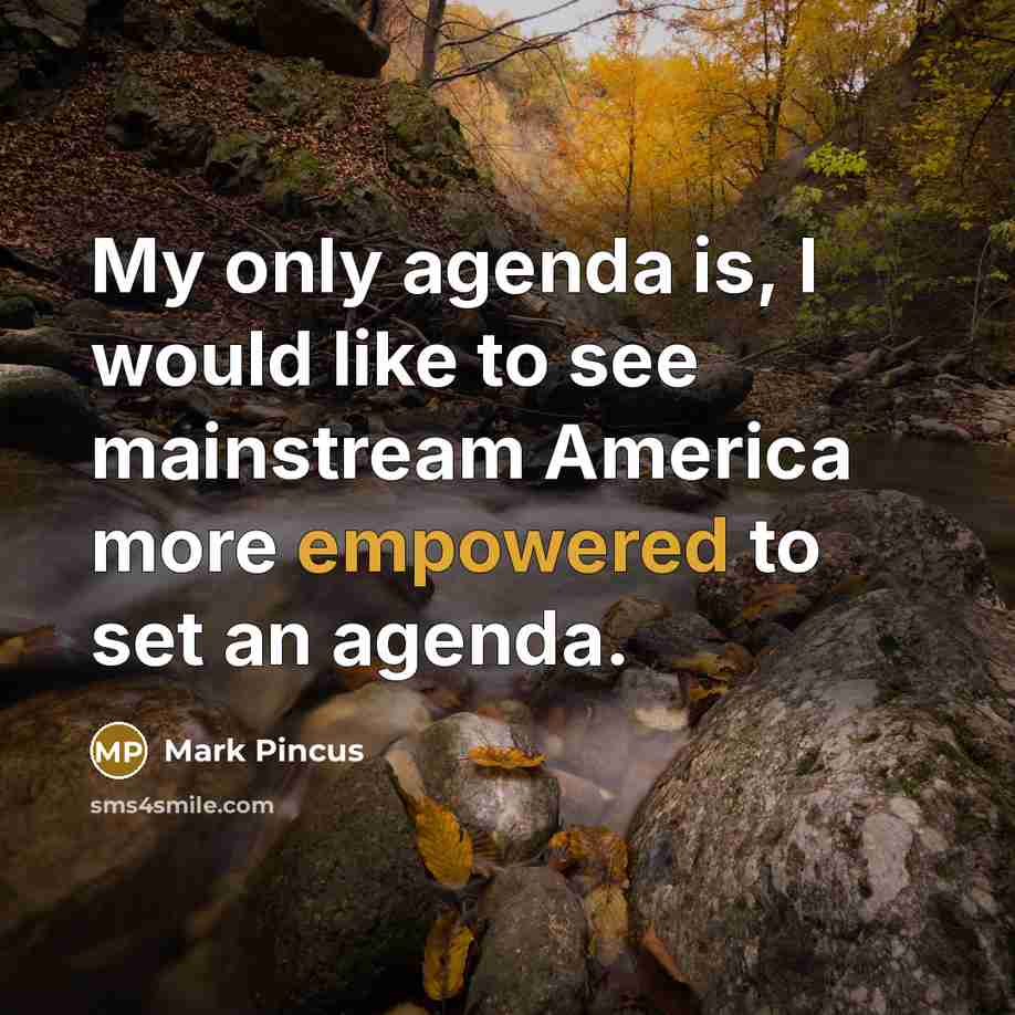 “My only agenda is, I would like to see mainstream…” quote by Mark Pincus