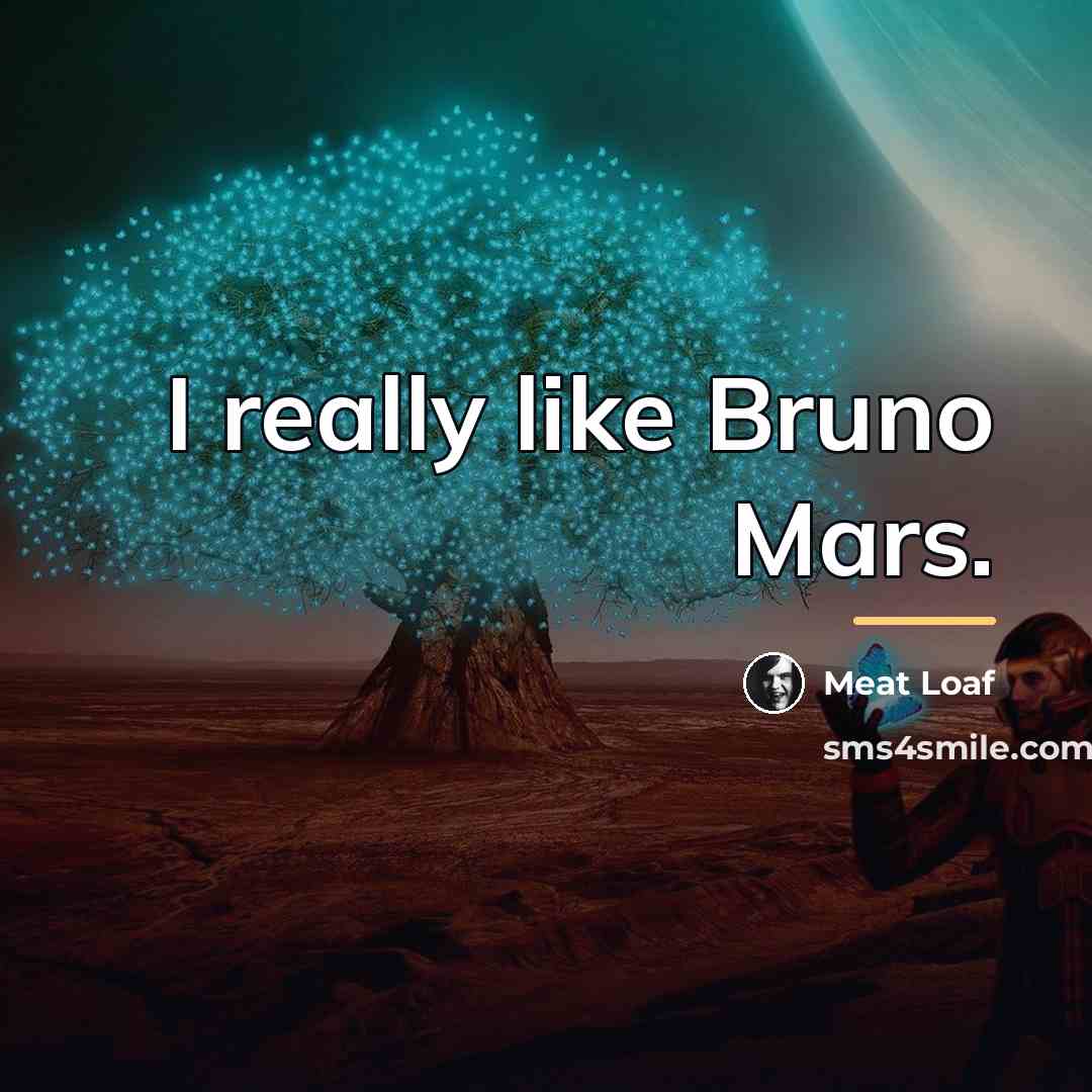 “I really like Bruno Mars.…” quote by Meat Loaf