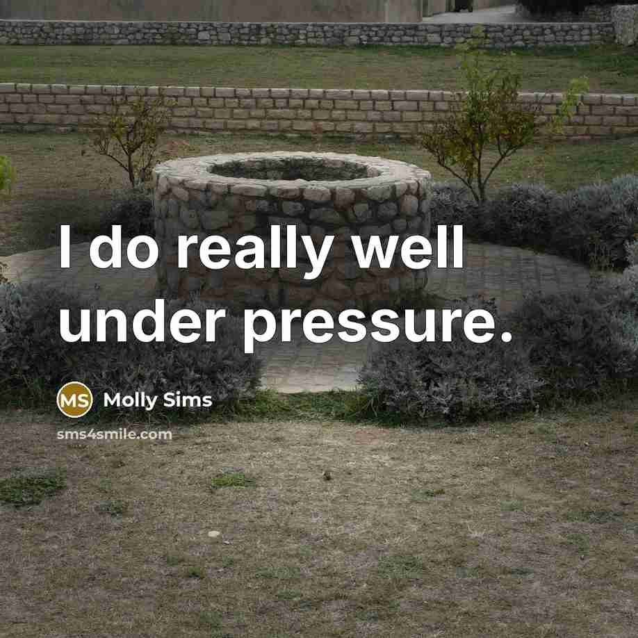 “I do really well under pressure.…” quote by Molly Sims