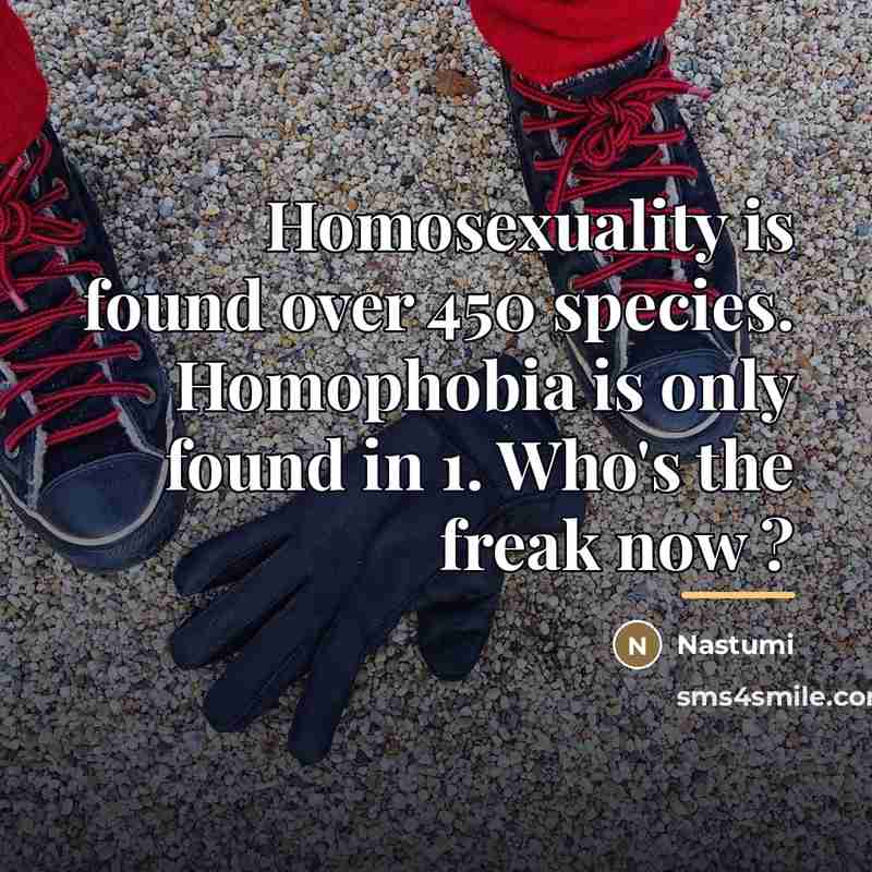 “Homosexuality is found over 450 species. Homophobia is only found…” quote by Nastumi