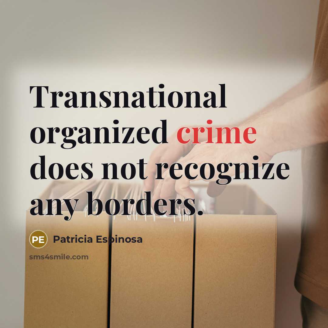 “Transnational organized crime does not recognize any borders.…” quote by Patricia Espinosa