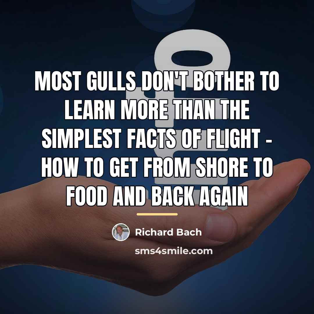 “Most gulls don't bother to learn more than the simplest…” quote by Richard Bach