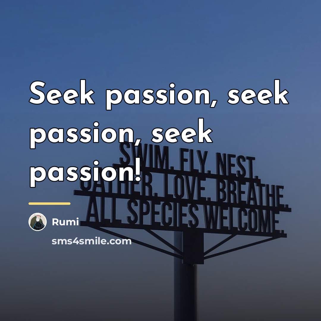 “Seek passion, seek passion, seek passion!…” quote by Rumi