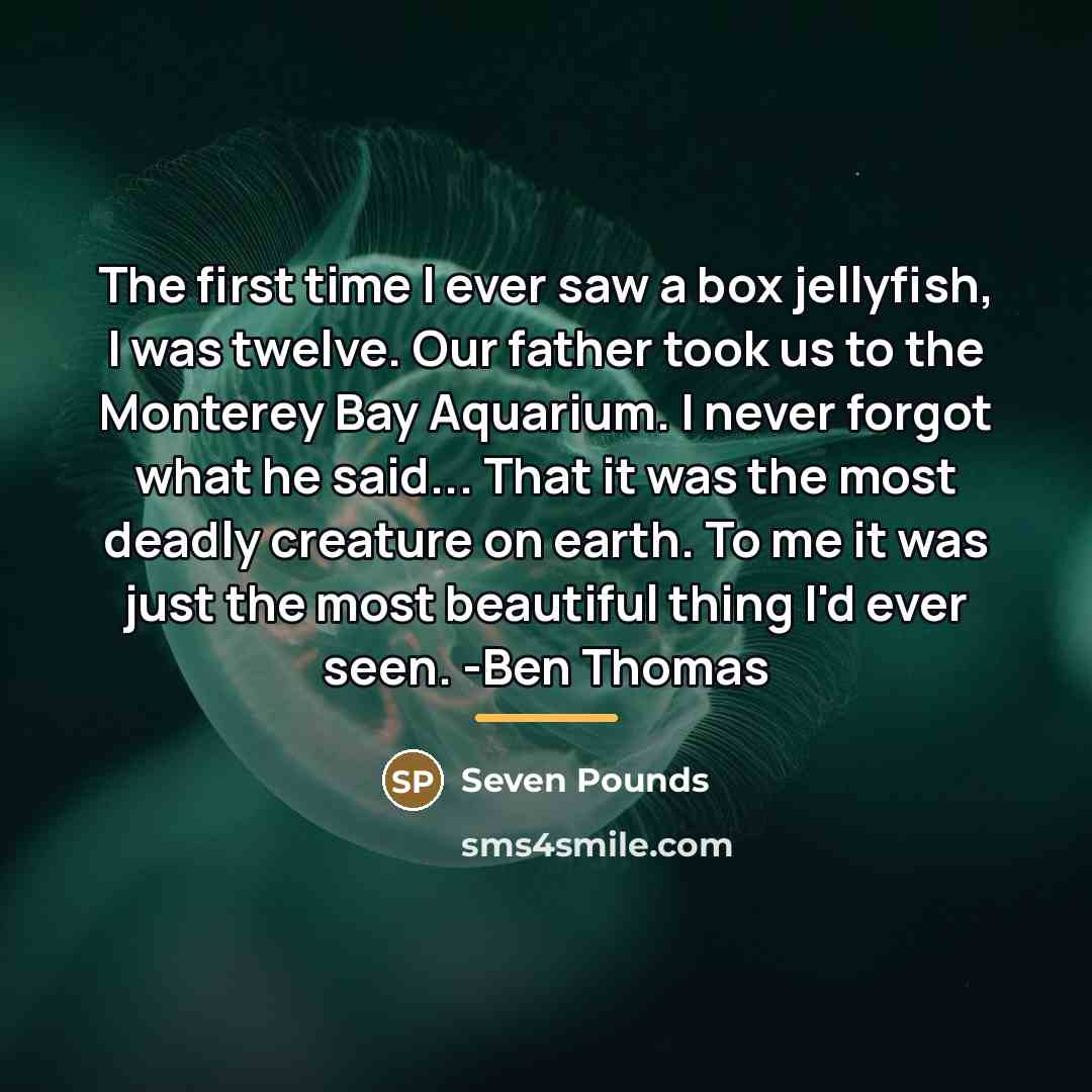 “The first time I ever saw a box jellyfish, I…” quote by Seven Pounds