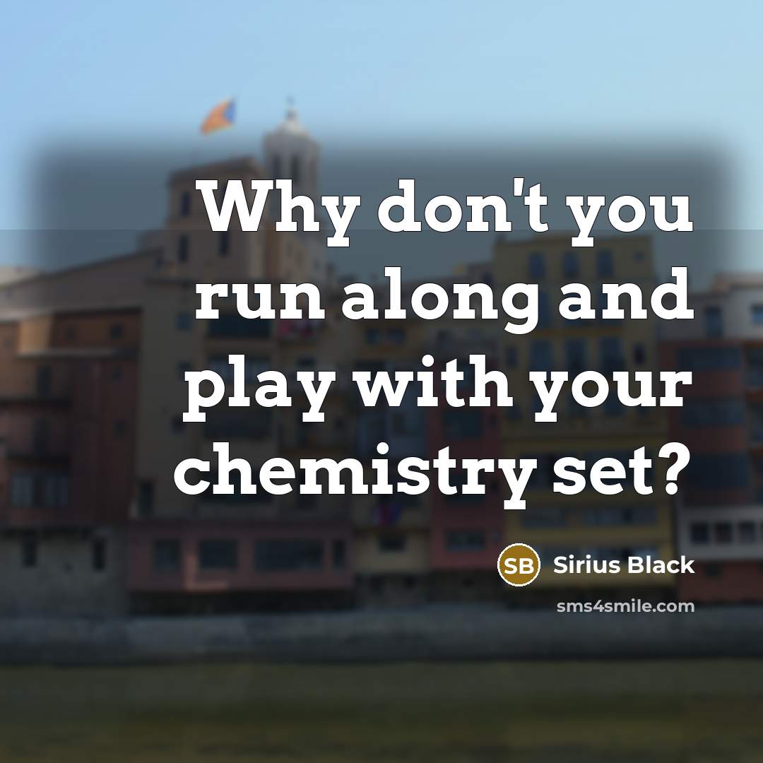 “Why don't you run along and play with your chemistry…” quote by Sirius Black