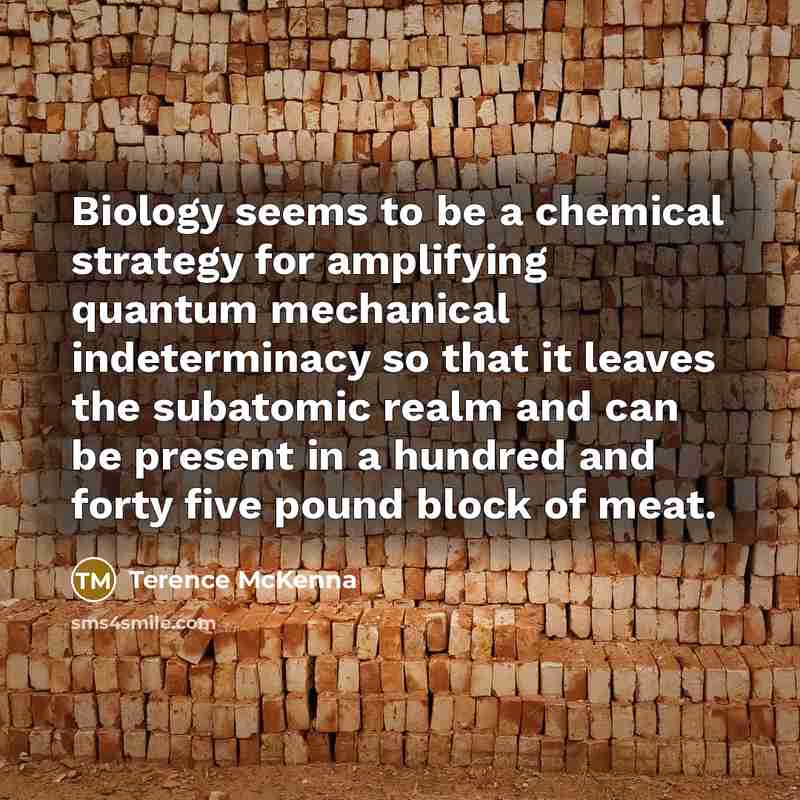 “Biology seems to be a chemical strategy for amplifying quantum…” quote by Terence McKenna