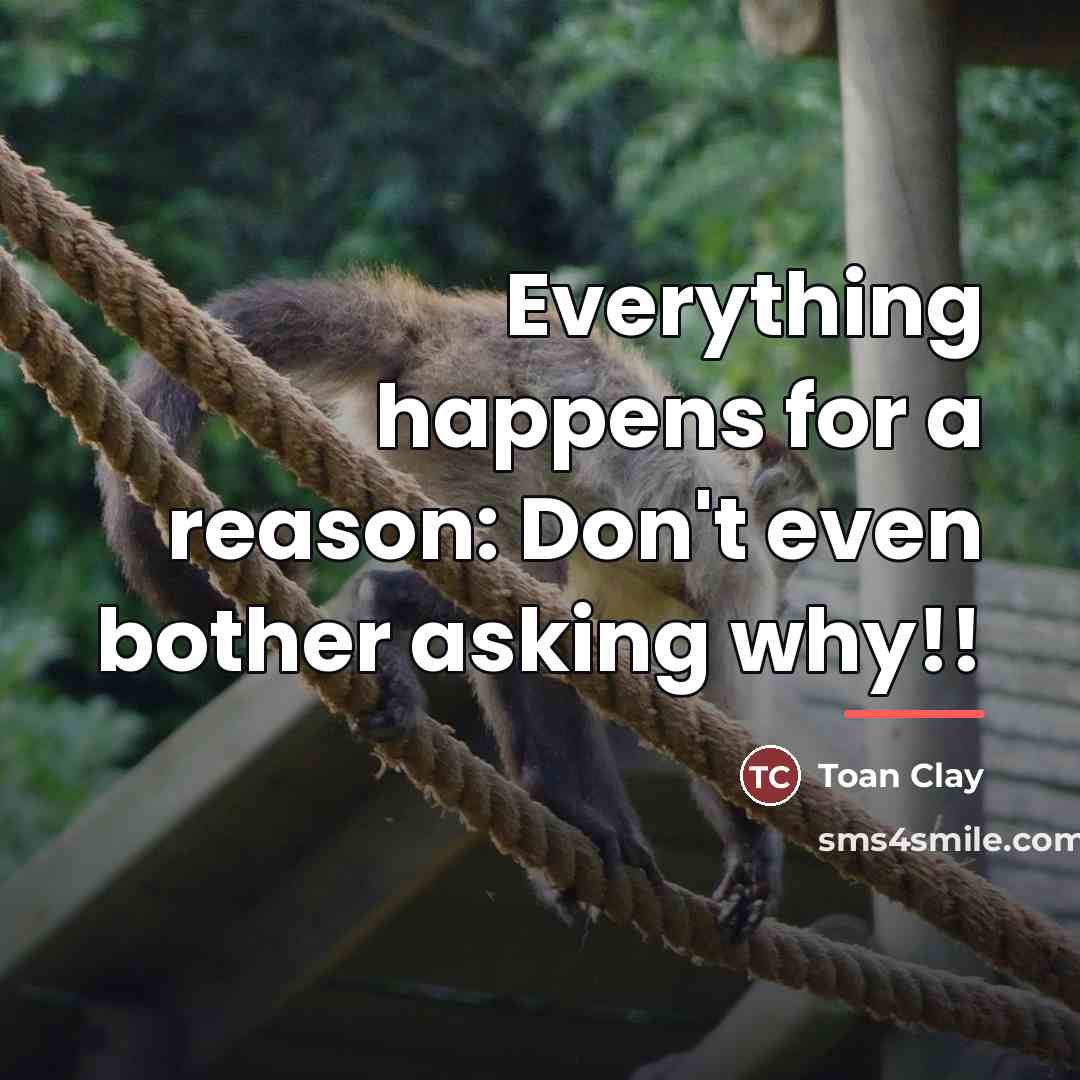 “Everything happens for a reason: Don't even bother asking why!!…” quote by Toan Clay