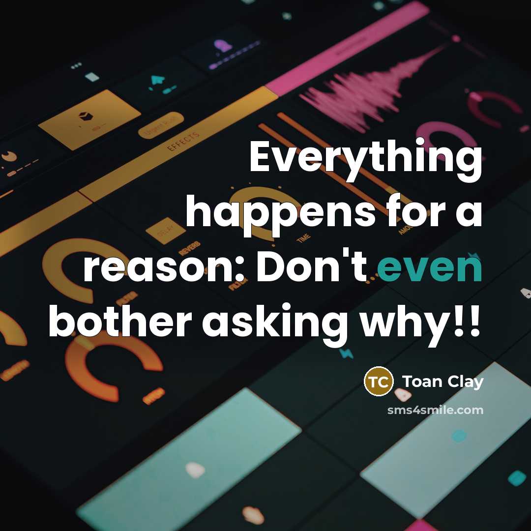 “Everything happens for a reason: Don't even bother asking why!!” quote by Toan Clay