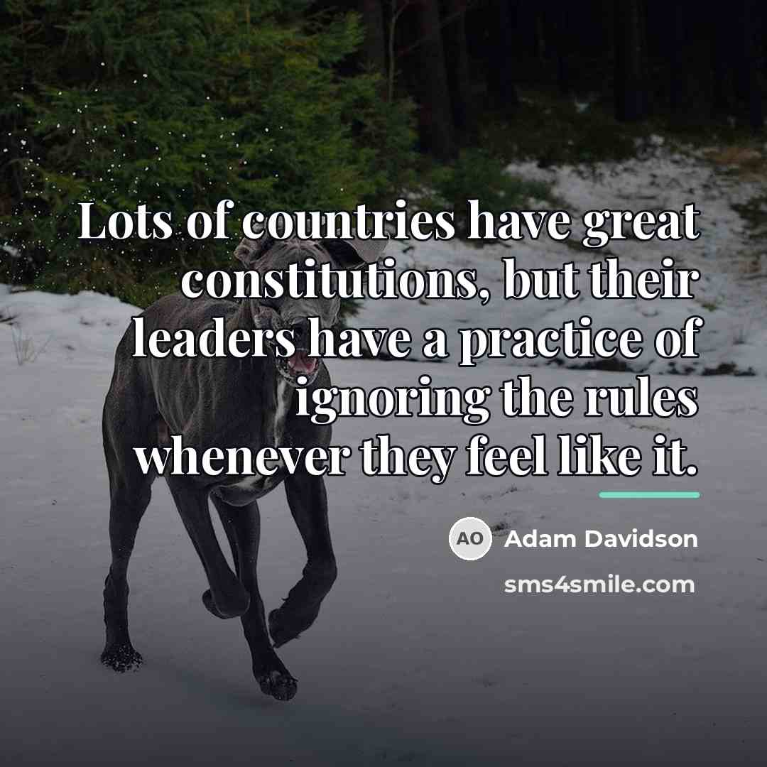 “Lots of countries have great constitutions, but their leaders have…” quote by Adam Davidson
