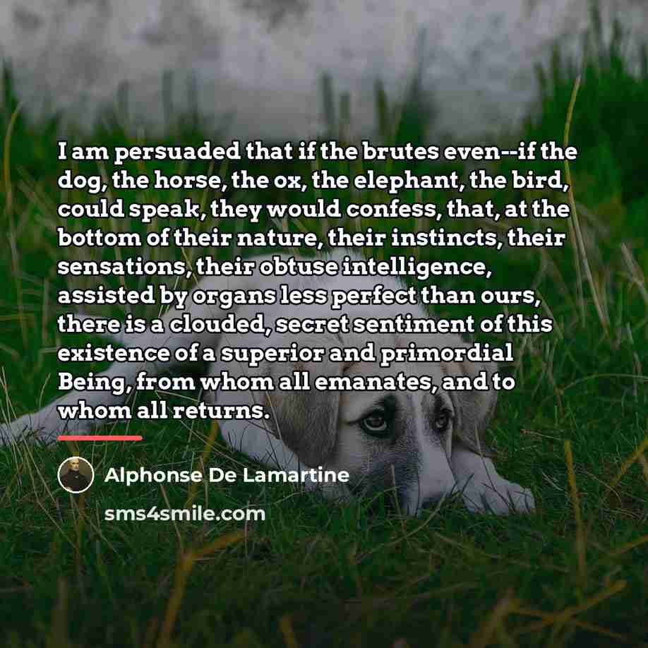 “I am persuaded that if the brutes even--if the dog,…” quote by Alphonse de Lamartine