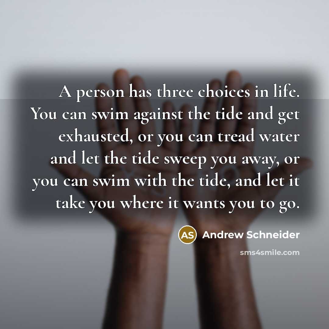 “A person has three choices in life. You can swim…” quote by Andrew Schneider