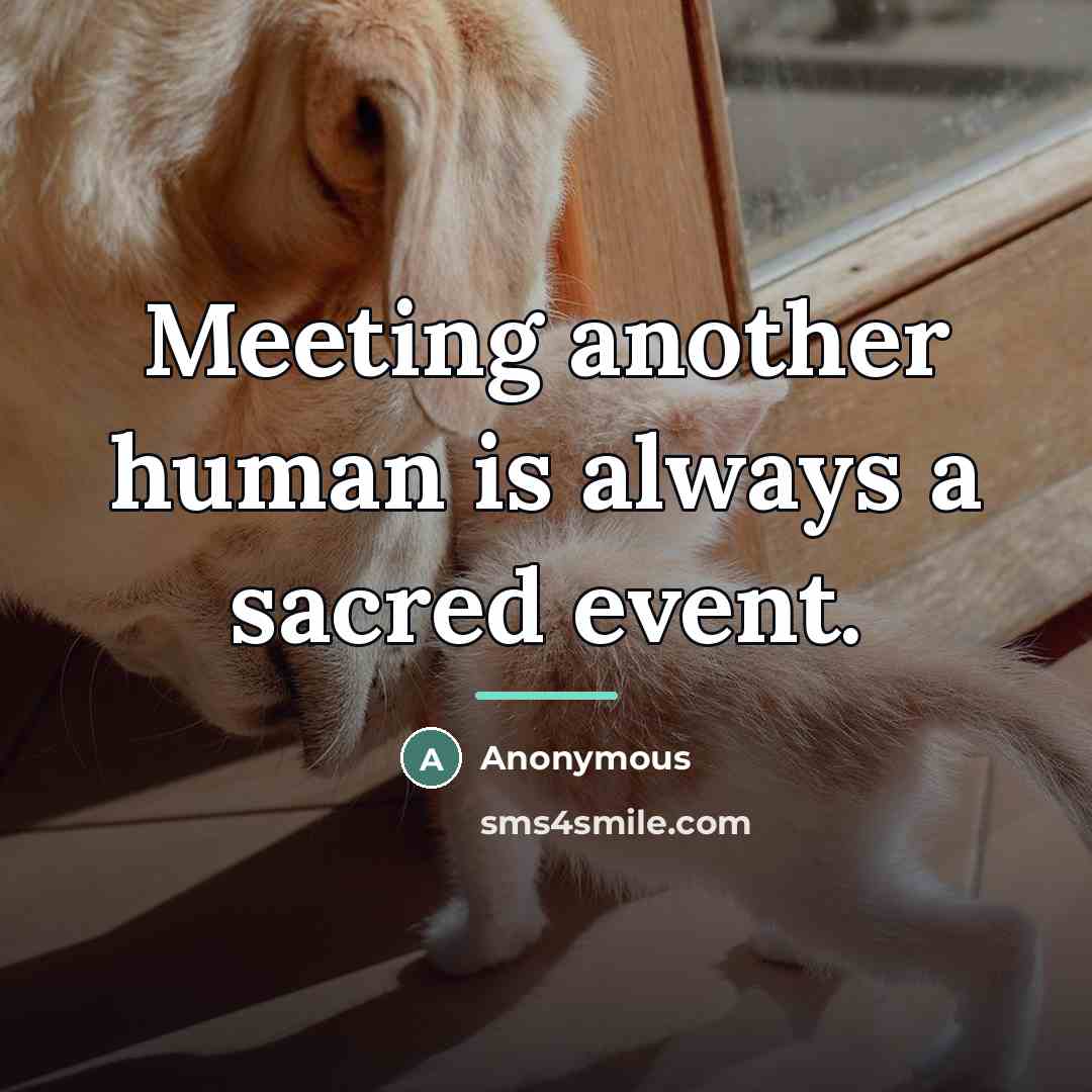 “Meeting another human is always a sacred event.…” quote by Anonymous