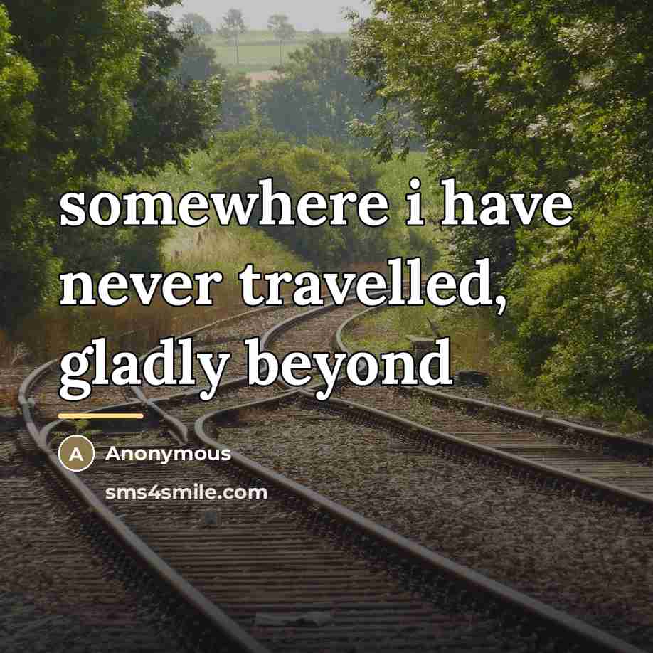 “somewhere i have never travelled, gladly beyond…” quote by Anonymous