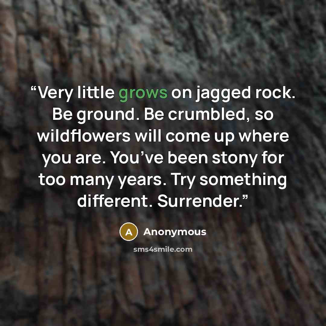 “Very little grows on jagged rock. Be ground. Be crumbled, so wildflowers will come up where you are. You’ve been stony for too many years. Try something different. Surrender.” quote by Anonymous