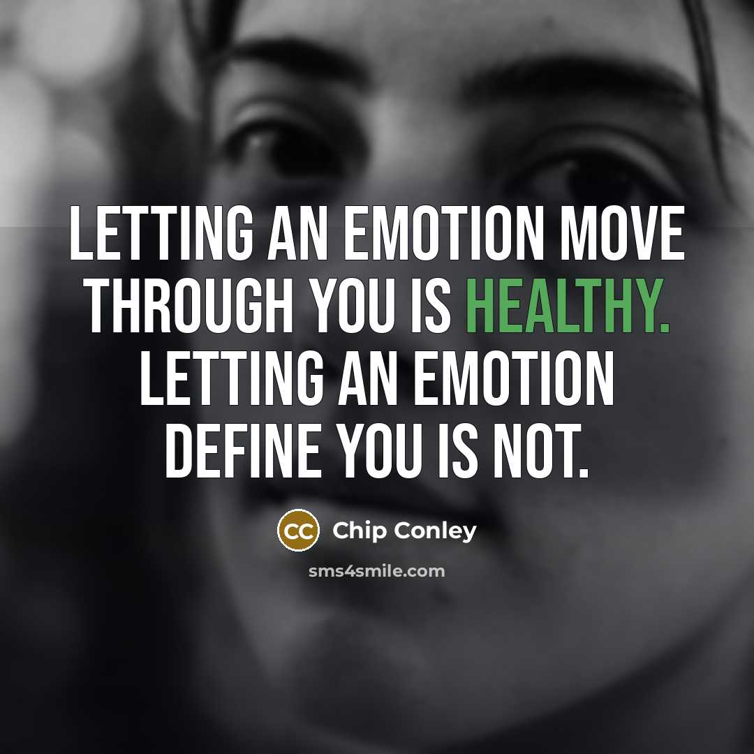 “Letting an emotion move through you is healthy. Letting an…” quote by Chip Conley
