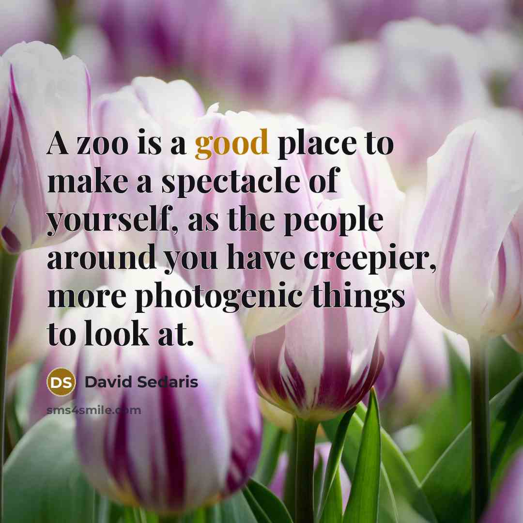 “A zoo is a good place to make a spectacle…” quote by David Sedaris