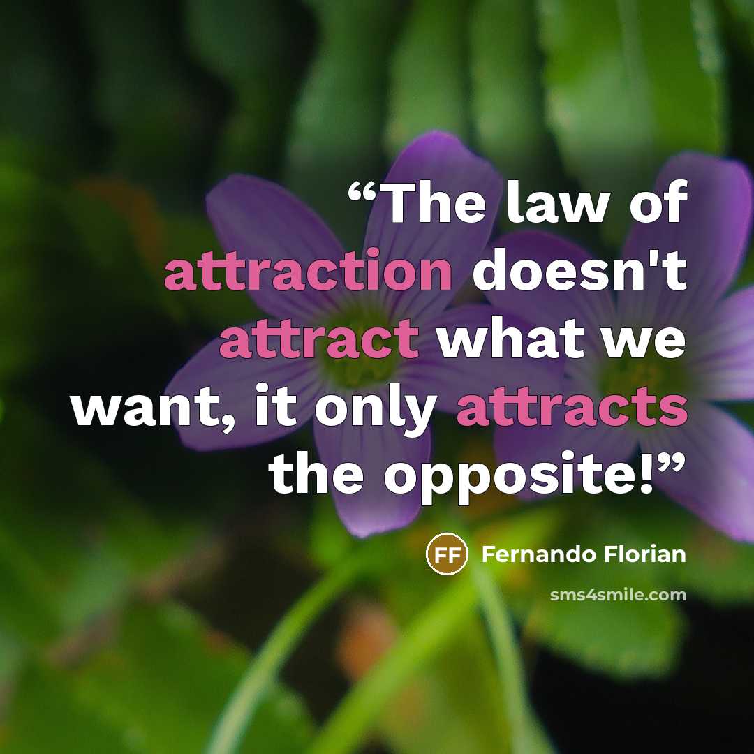 “The law of attraction doesn't attract what we want, it only attracts the opposite!” quote by Fernando Florian