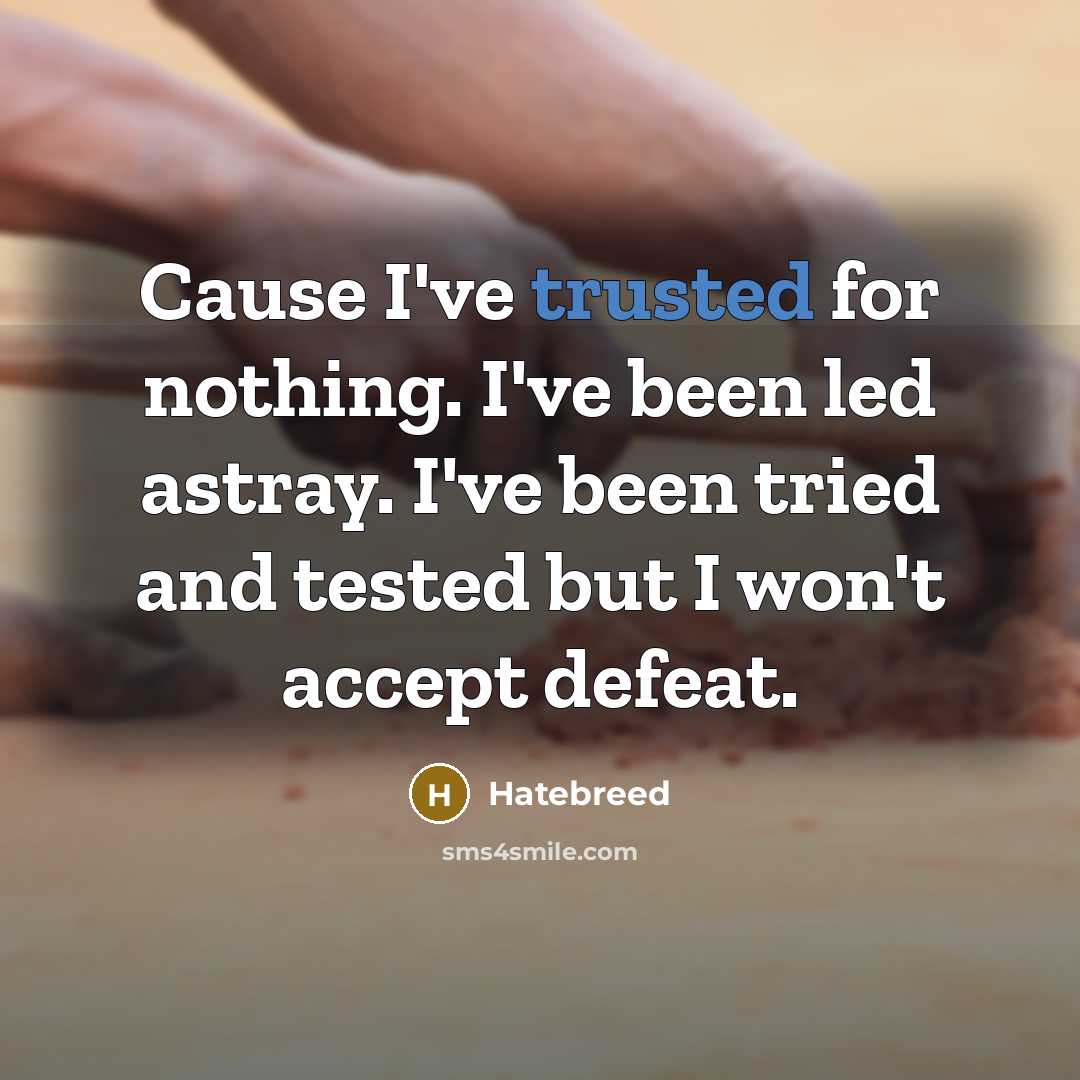 “Cause I've trusted for nothing. I've been led astray. I've been tried and tested but I won't accept defeat.” quote by Hatebreed
