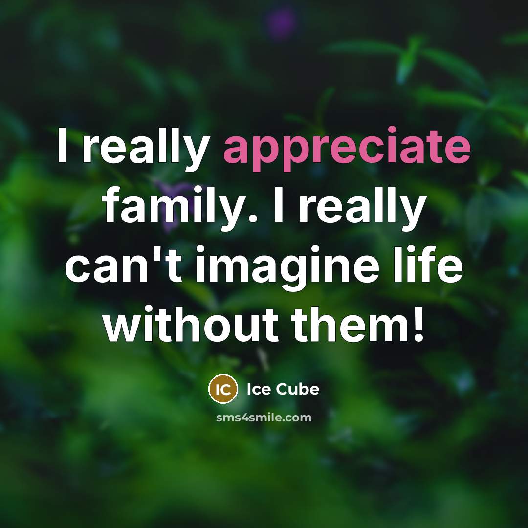 “I really appreciate family. I really can't imagine life without…” quote by Ice Cube