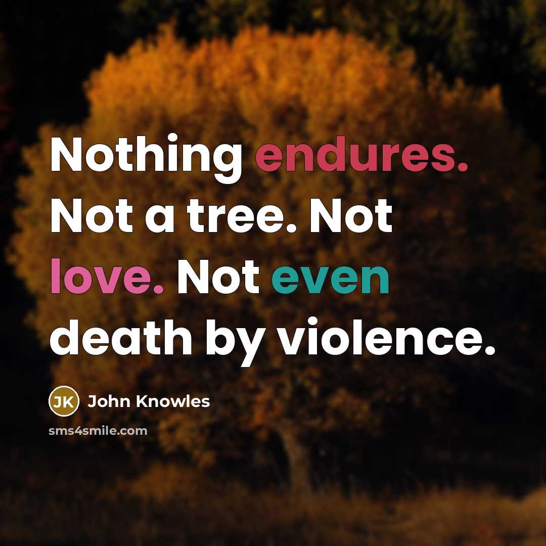 “Nothing endures. Not a tree. Not love. Not even death by violence.” quote by John Knowles