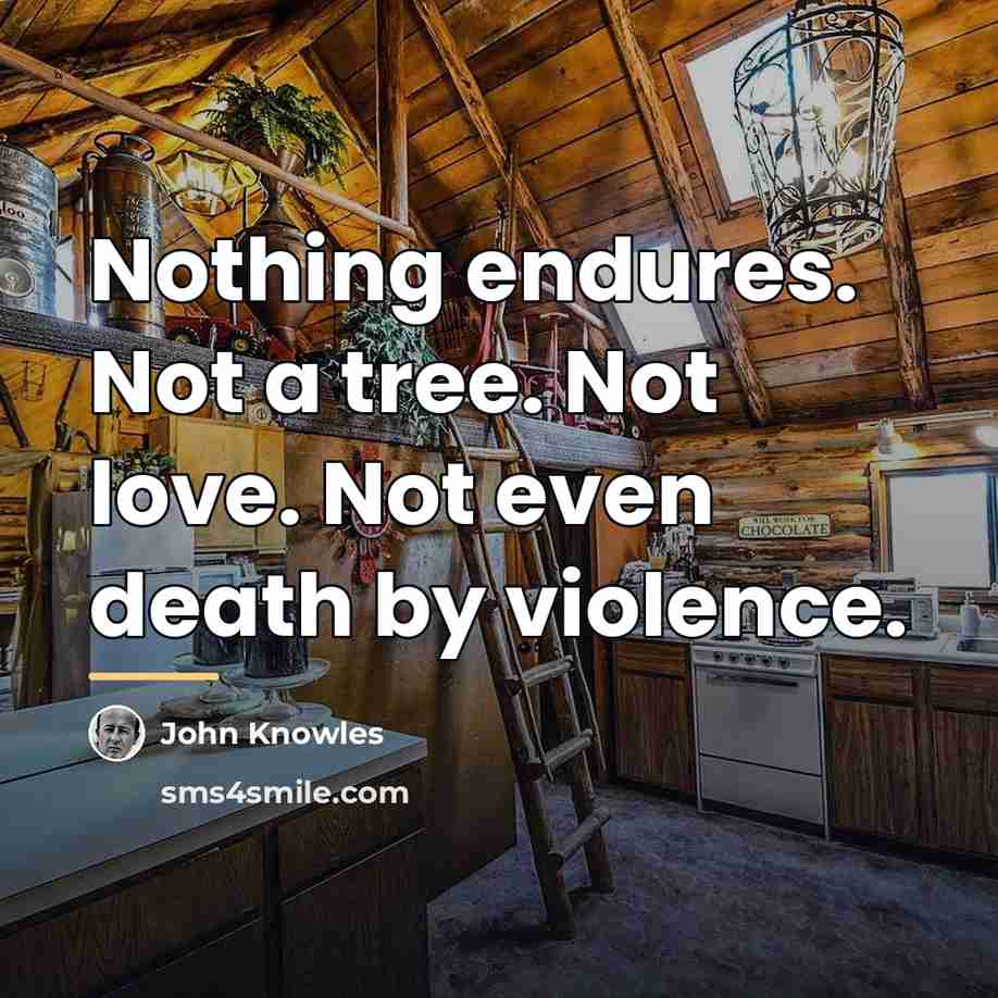 “Nothing endures. Not a tree. Not love. Not even death…” quote by John Knowles