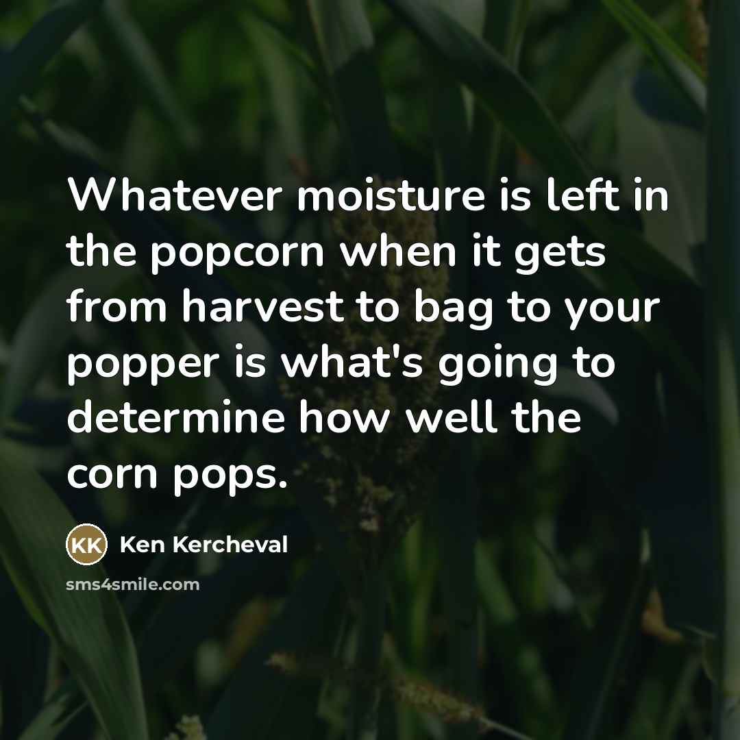 “Whatever moisture is left in the popcorn when it gets…” quote by Ken Kercheval