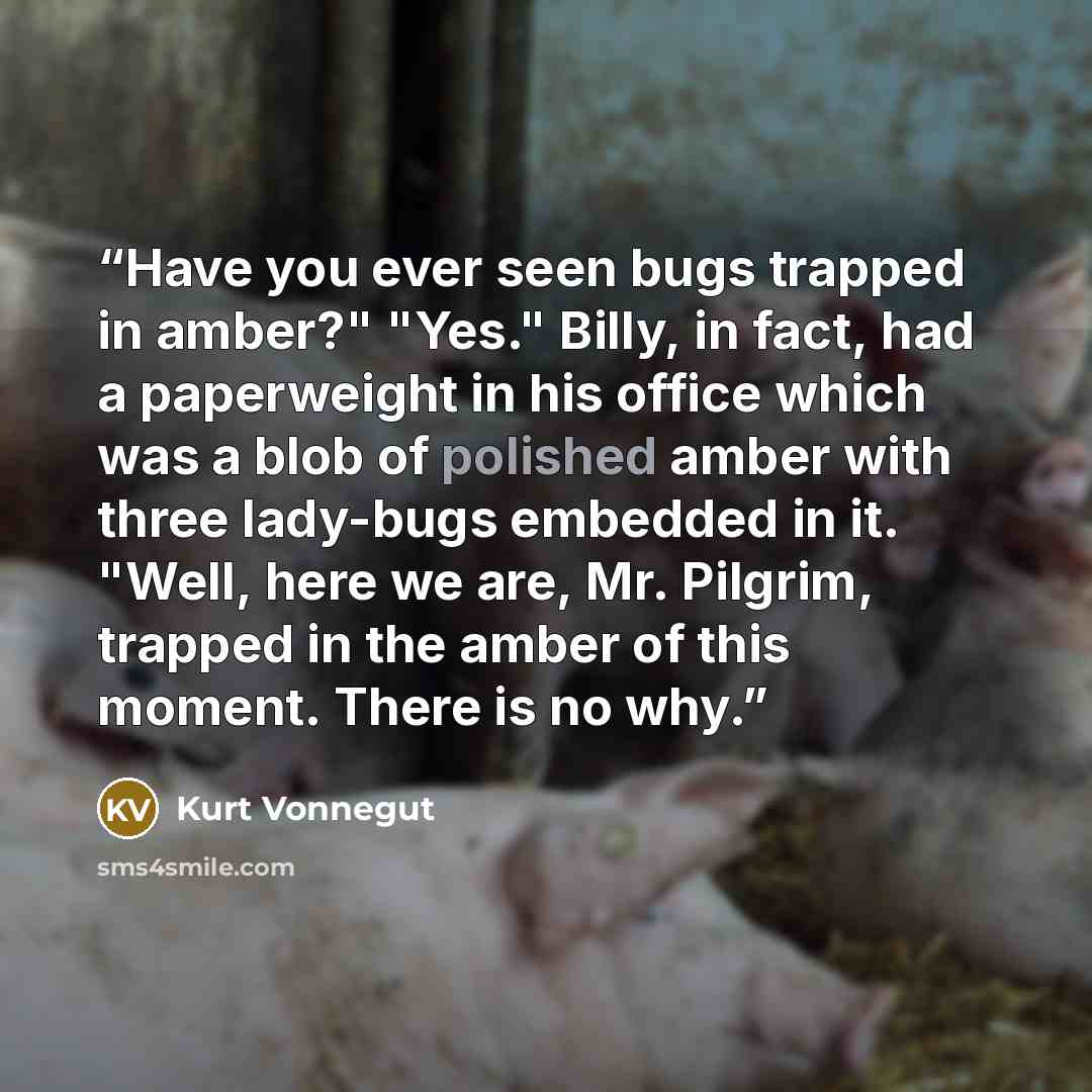 “Have you ever seen bugs trapped in amber?" "Yes." Billy, in fact, had a paperweight in his office which was a blob of polished amber with three lady-bugs embedded in it. "Well, here we are, Mr. Pilgrim, trapped in the amber of this moment. There is no why.” quote by Kurt Vonnegut