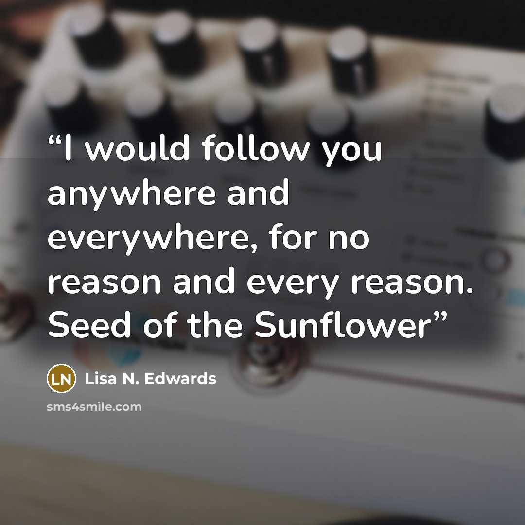 “I would follow you anywhere and everywhere, for no reason and every reason. Seed of the Sunflower” quote by Lisa N. Edwards