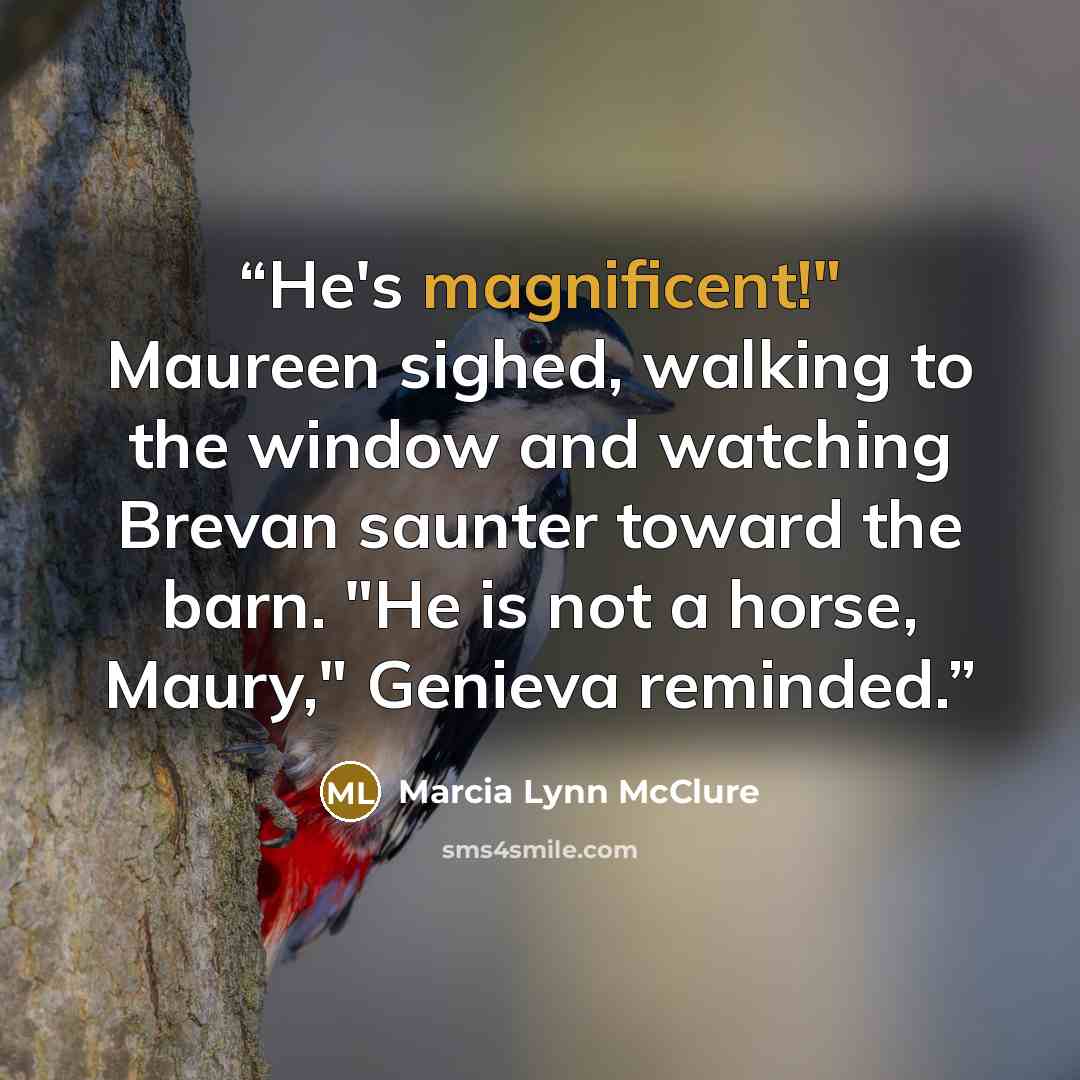 “He's magnificent!" Maureen sighed, walking to the window and watching Brevan saunter toward the barn. "He is not a horse, Maury," Genieva reminded.” quote by Marcia Lynn McClure