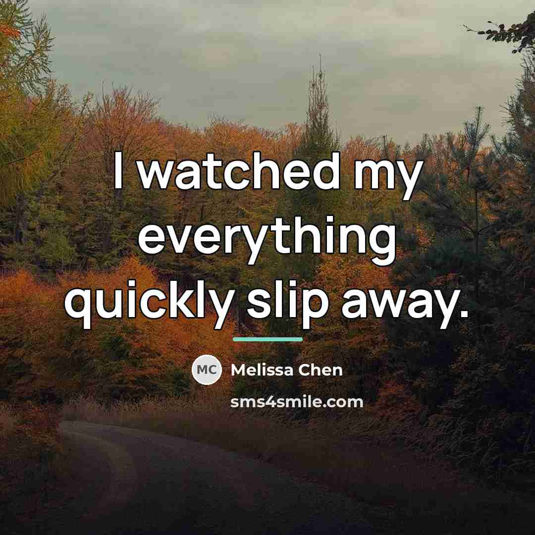 “I watched my everything quickly slip away.…” quote by Melissa Chen