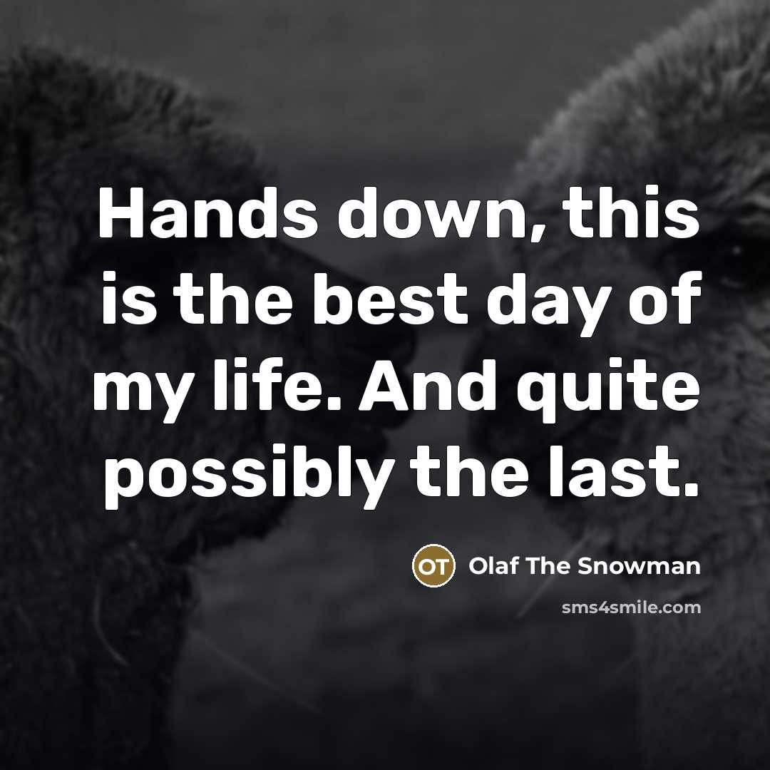 “Hands down, this is the best day of my life. And quite possibly the last.” quote by Olaf The Snowman