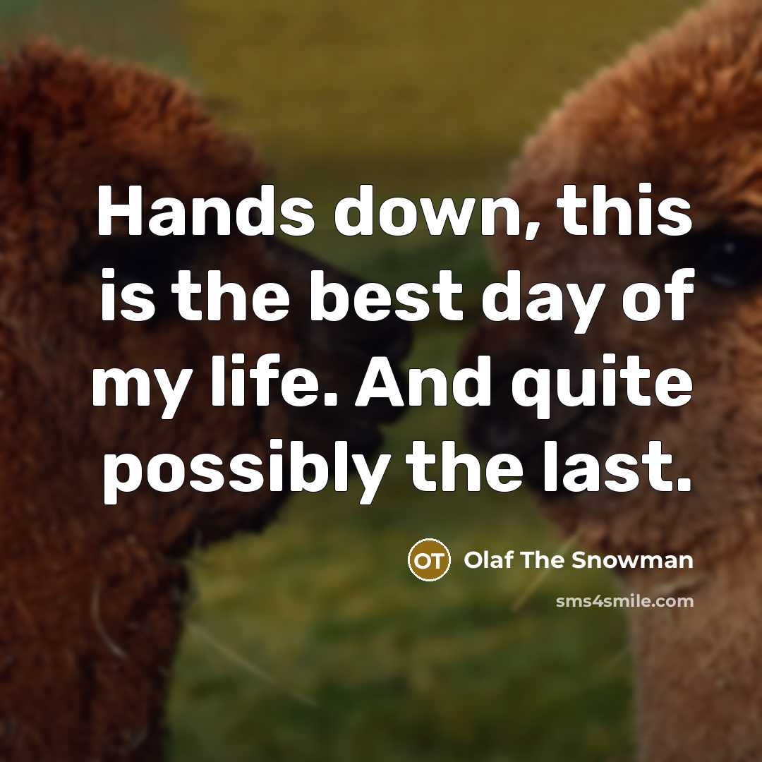 “Hands down, this is the best day of my life. And quite possibly the last.” quote by Olaf The Snowman