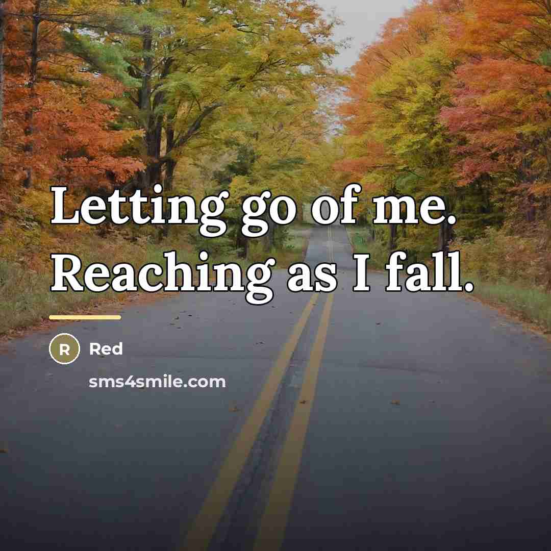 “Letting go of me. Reaching as I fall.…” quote by Red