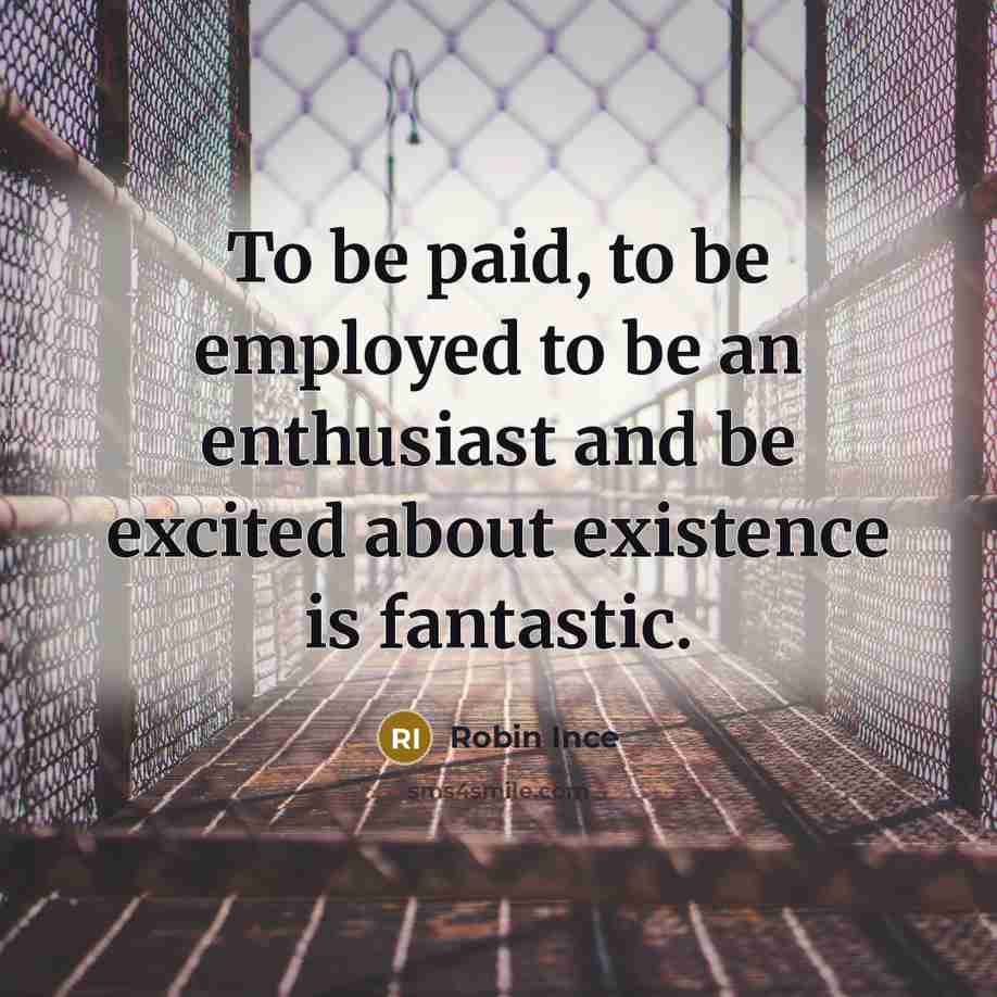 “To be paid, to be employed to be an enthusiast…” quote by Robin Ince