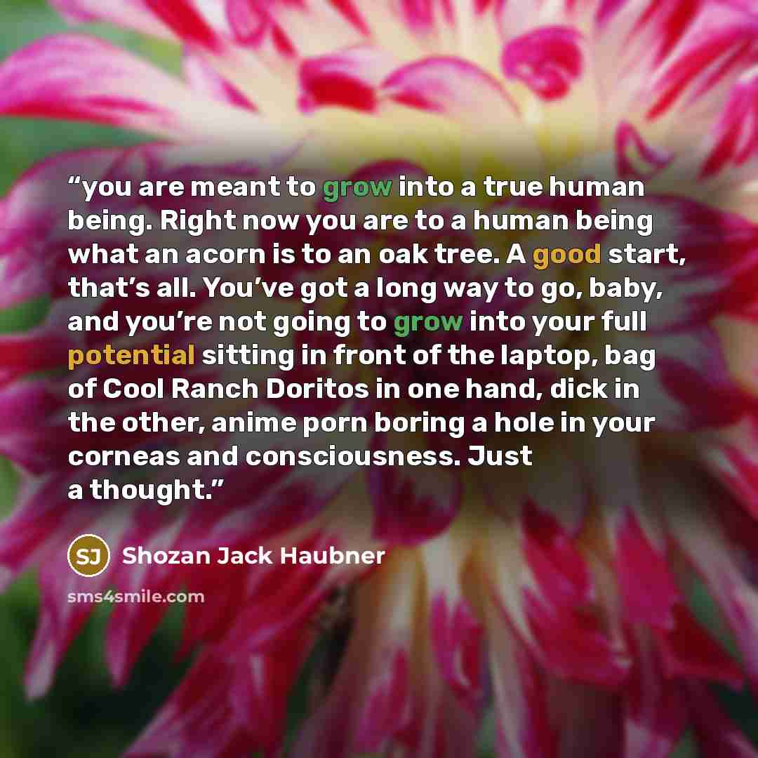 “you are meant to grow into a true human being. Right now you are to a human being what an acorn is to an oak tree. A good start, that’s all. You’ve got a long way to go, baby, and you’re not going to grow into your full potential sitting in front of the laptop, bag of Cool Ranch Doritos in one…” quote by Shozan Jack Haubner