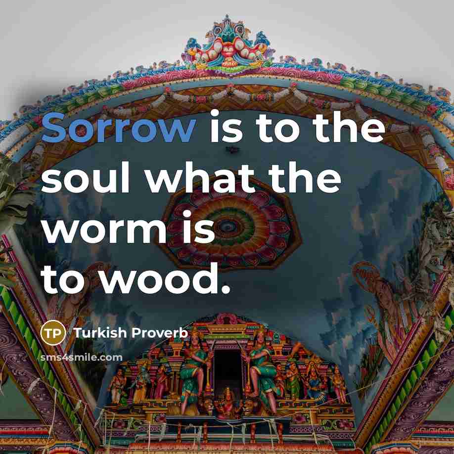 “Sorrow is to the soul what the worm is to…” quote by Turkish Proverb