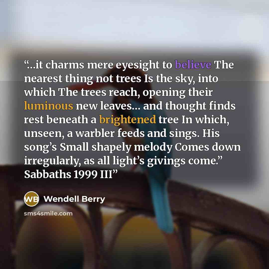 “…it charms mere eyesight to believe The nearest thing not trees Is the sky, into which The trees reach, opening their luminous new leaves… and thought finds rest beneath a brightened tree In which, unseen, a warbler feeds and sings. His song’s Small shapely melody Comes down irregularly, as all…” quote by Wendell Berry