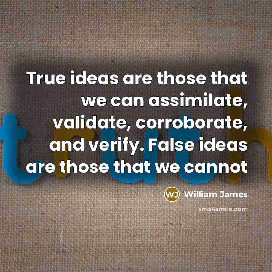 “True ideas are those that we can assimilate, validate, corroborate, and verify. False ideas are those that we cannot” quote by William James