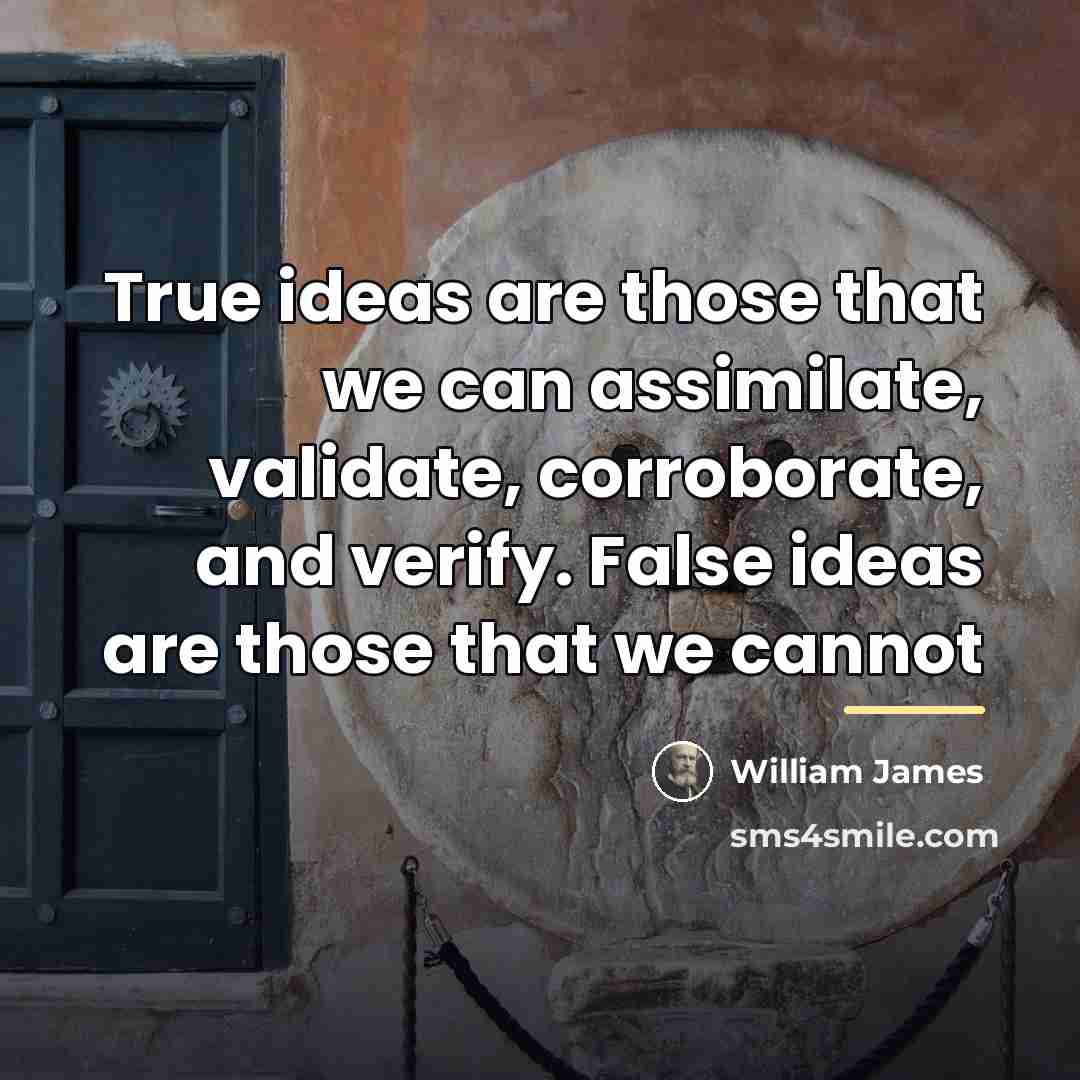 “True ideas are those that we can assimilate, validate, corroborate,…” quote by William James