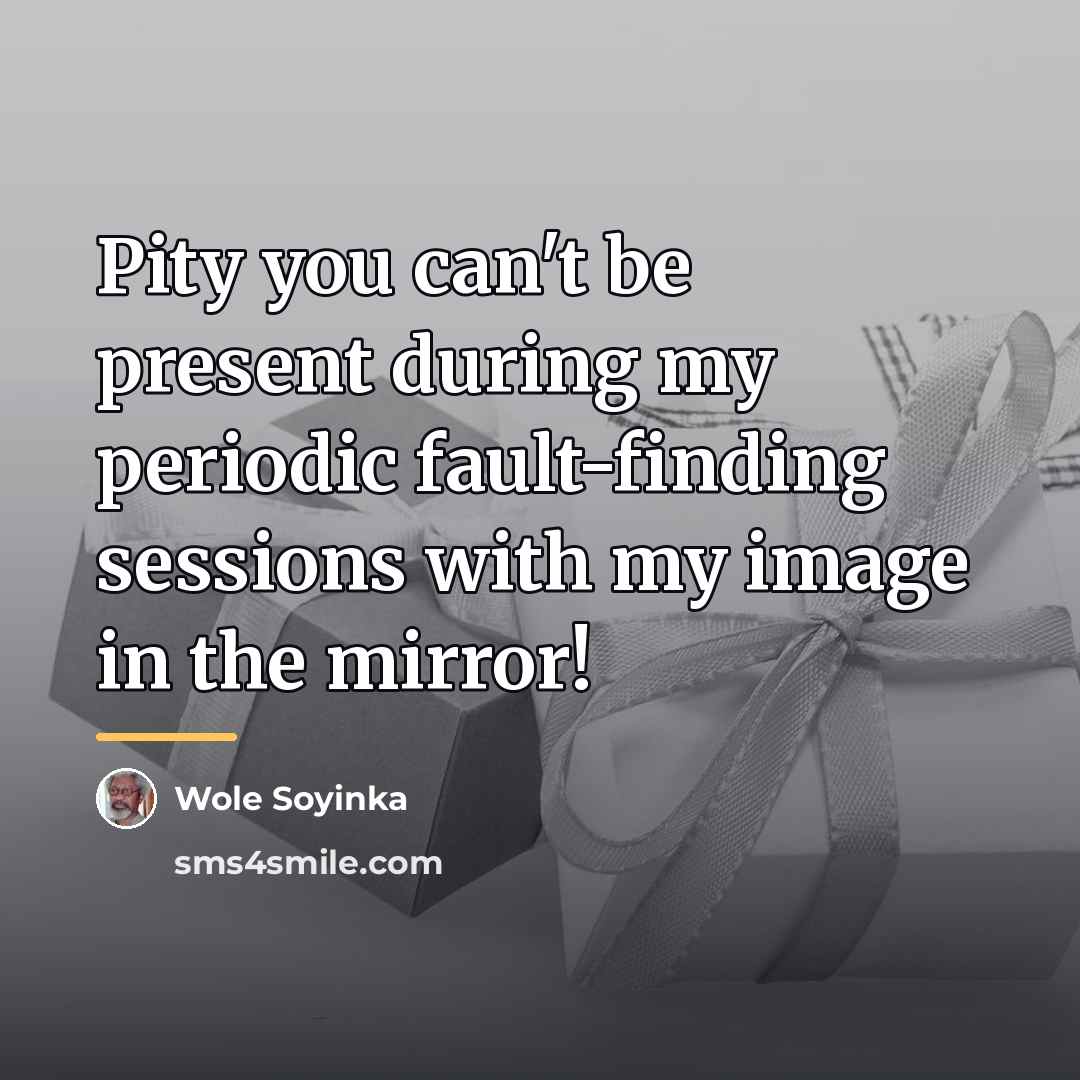 “Pity you can't be present during my periodic fault-finding sessions…” quote by Wole Soyinka