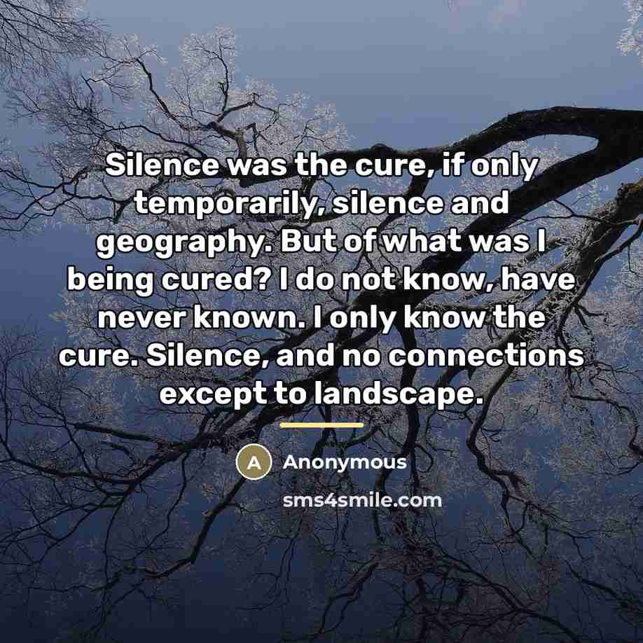 “Silence was the cure, if only temporarily, silence and geography.…” quote by Anonymous