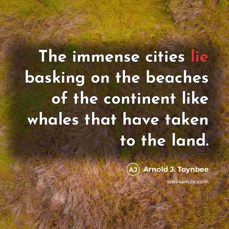 “The immense cities lie basking on the beaches of the…” quote by Arnold J. Toynbee