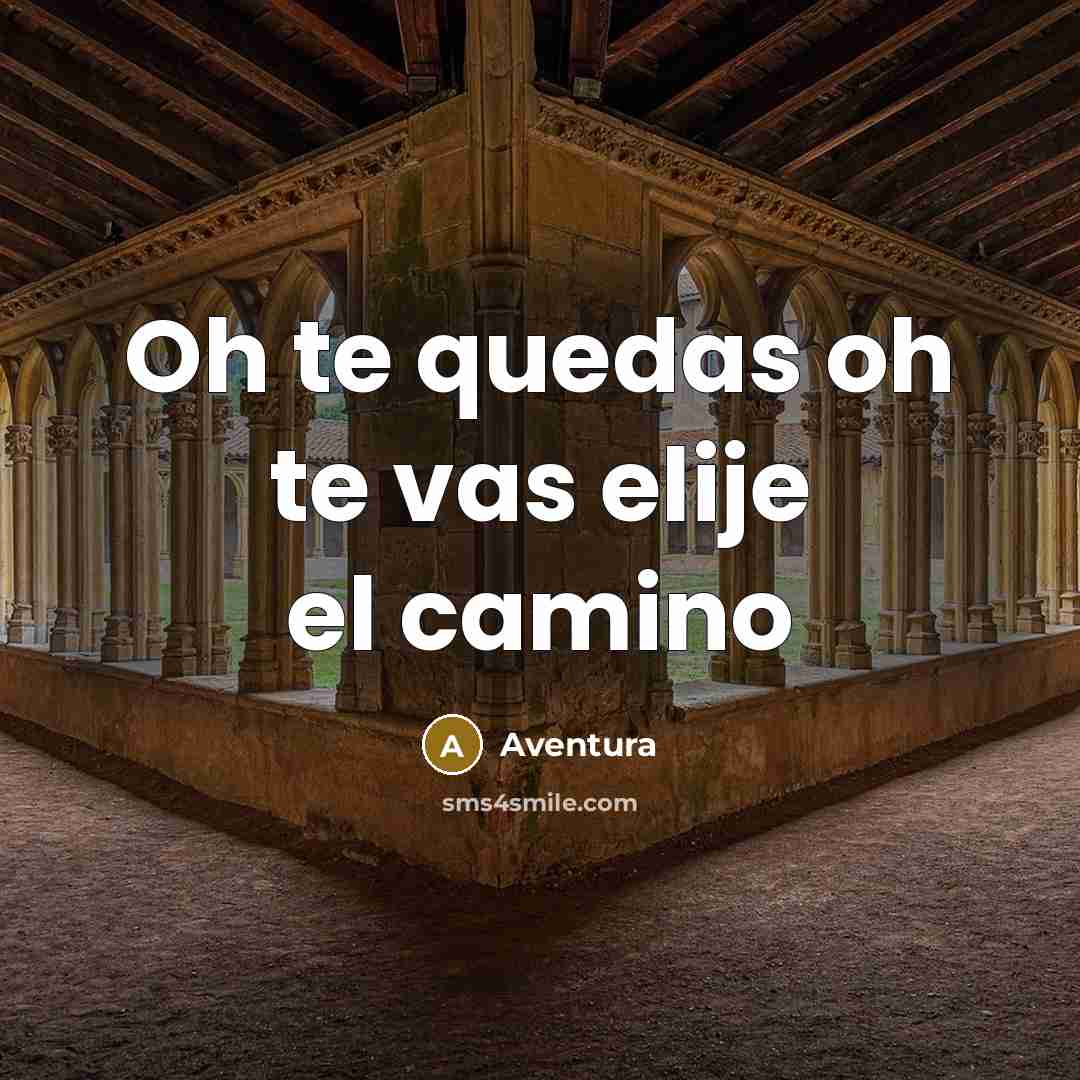“Oh te quedas oh te vas elije el camino…” quote by Aventura
