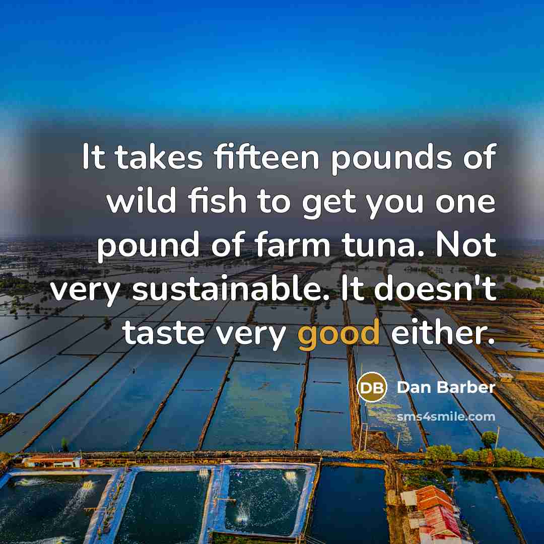 “It takes fifteen pounds of wild fish to get you…” quote by Dan Barber