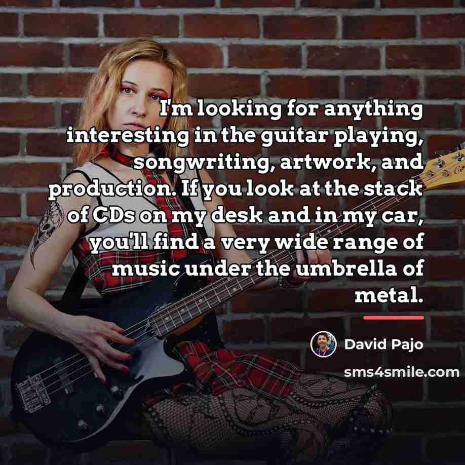 “I'm looking for anything interesting in the guitar playing, songwriting,…” quote by David Pajo