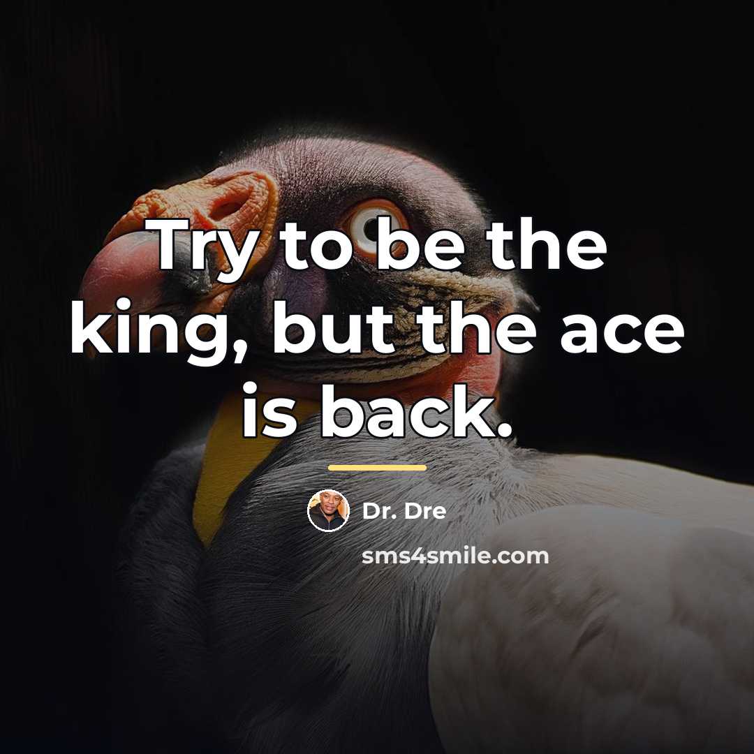 “Try to be the king, but the ace is back.…” quote by Dr. Dre