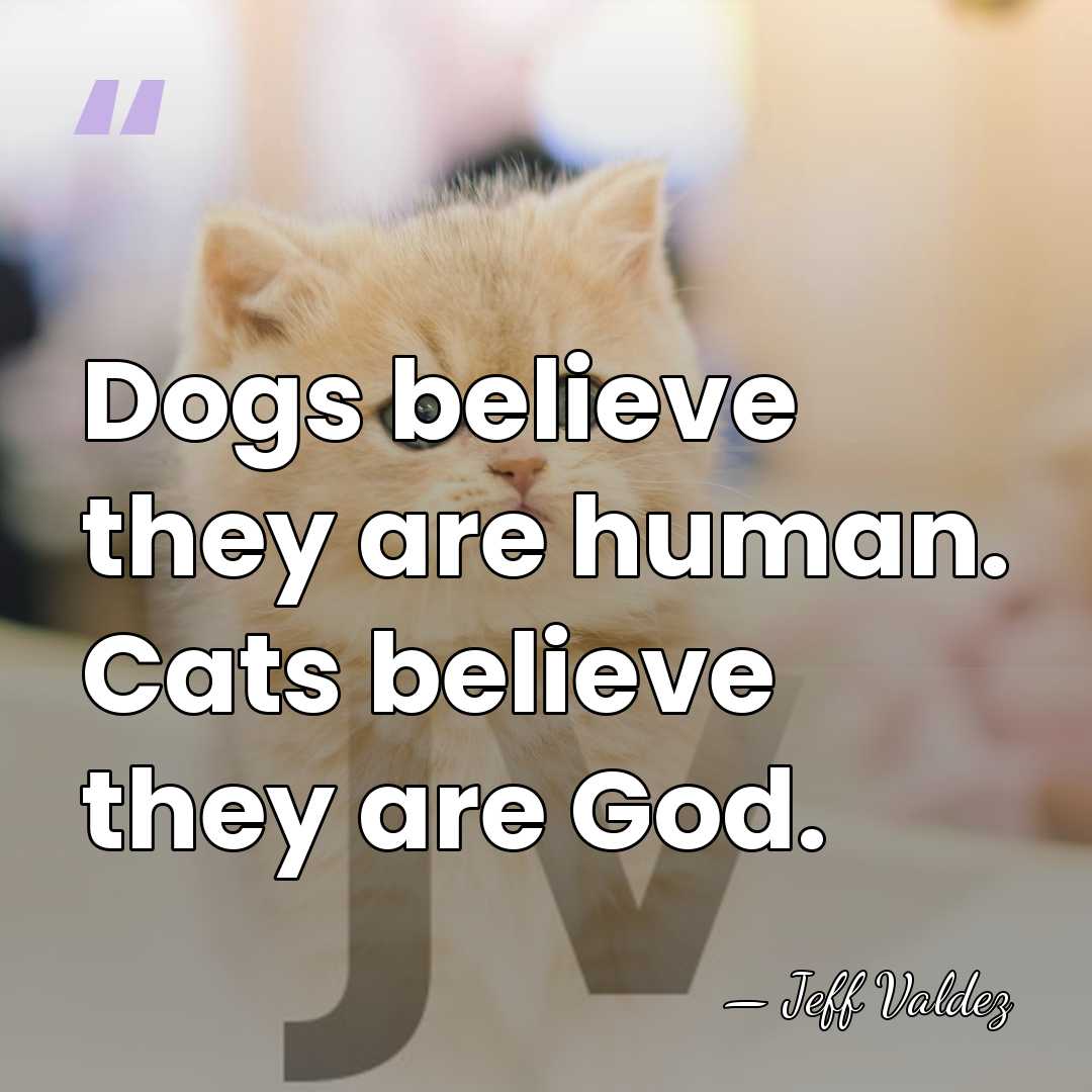 Dogs believe they are human. Cats believe they are God. - Jeff Valdez